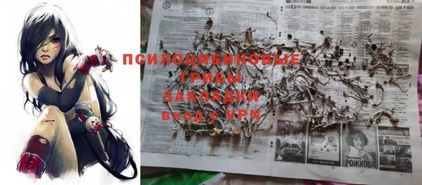 гидропоника Чекалин