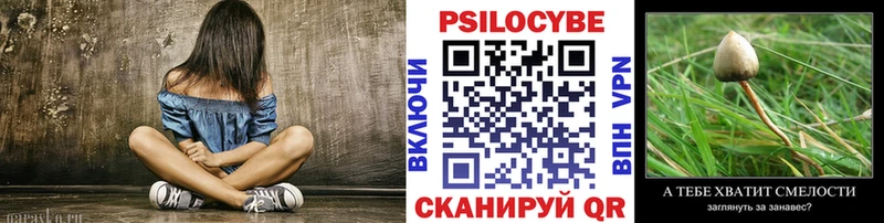 Купить где  Островной  Галлюциногенные грибы Magic Shrooms 